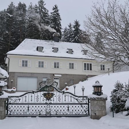 Schwarwald Apartment Schluchsee Esterno foto